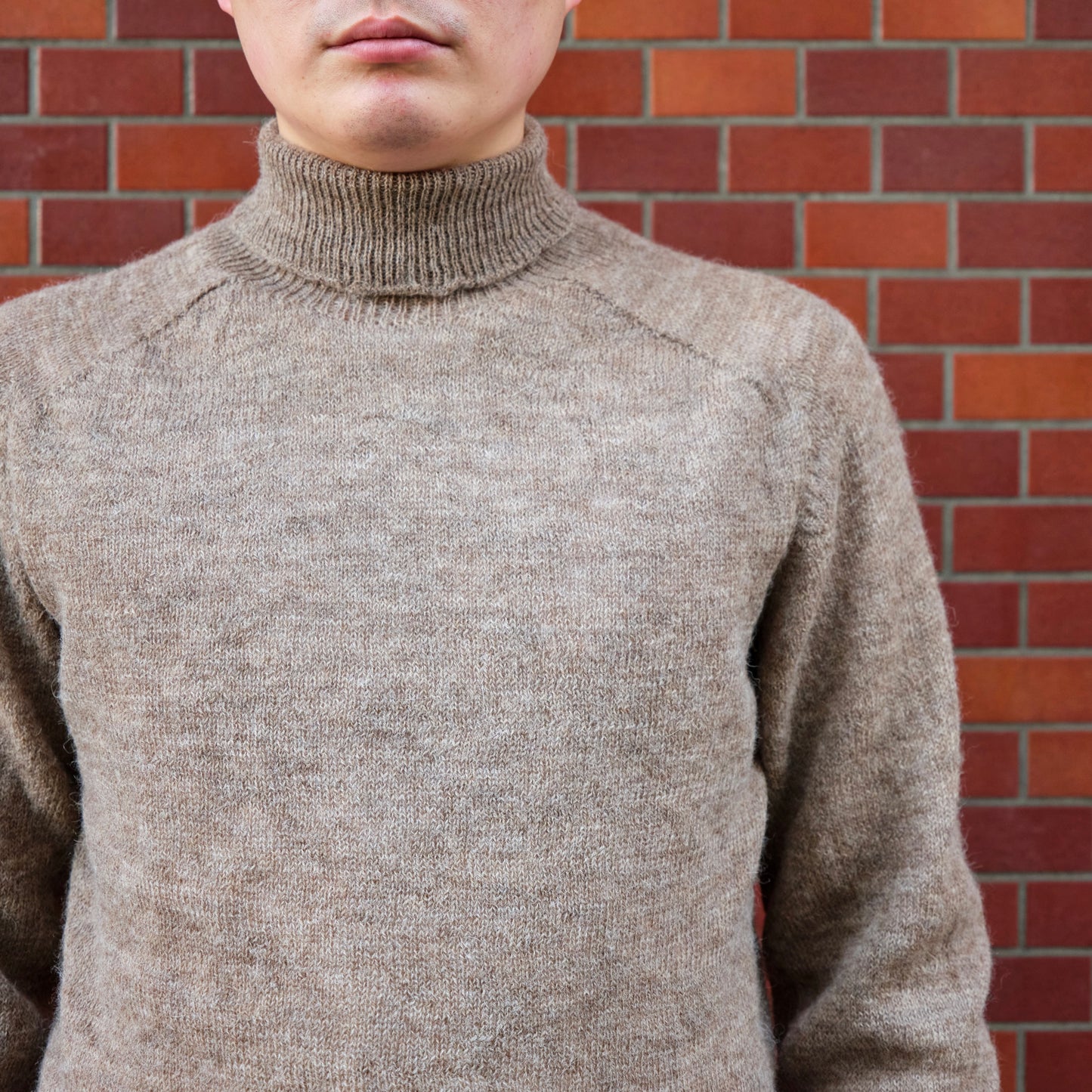 1PLY SHETLAND SWEATER TURTLE