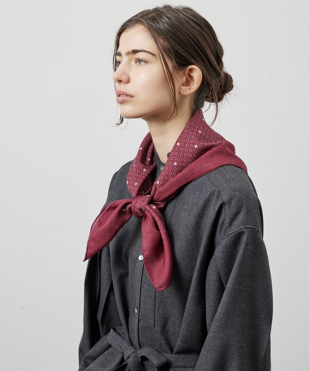 SCARF MULHOUSE