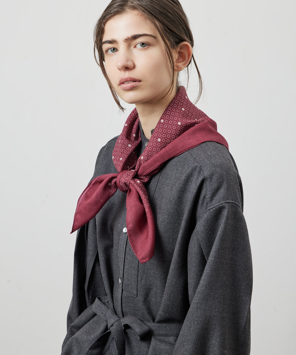 SCARF MULHOUSE