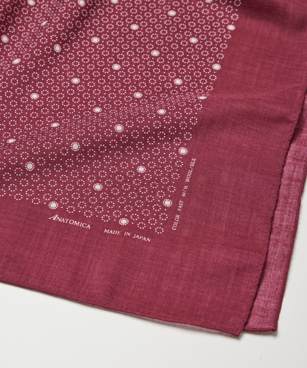 SCARF MULHOUSE